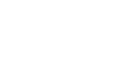 Portfolio_Logo_LSG