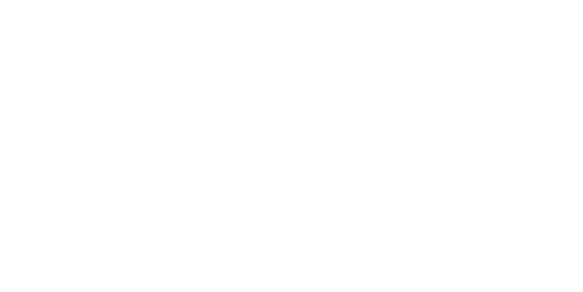 Portfolio_Logo_Adler